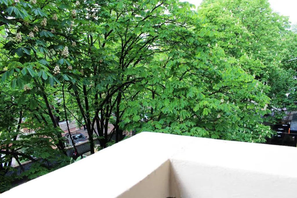 img_id_1656259.webp