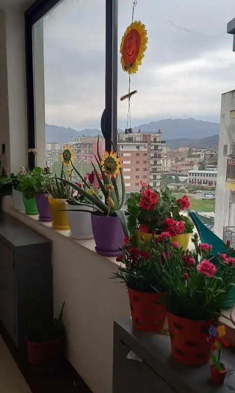 img_id_1400489.webp