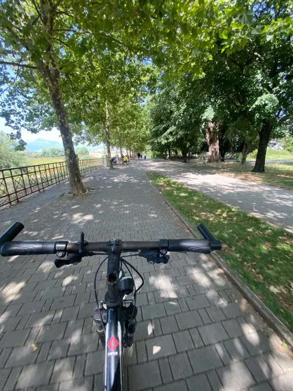 img_id_1400495.webp