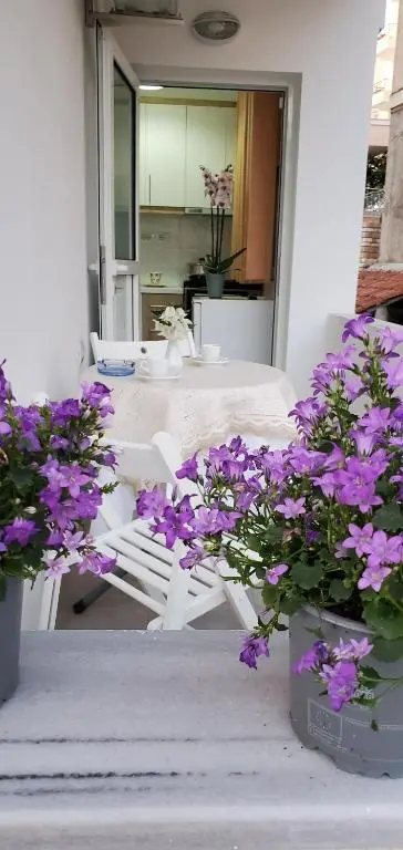 img_id_1205025.webp