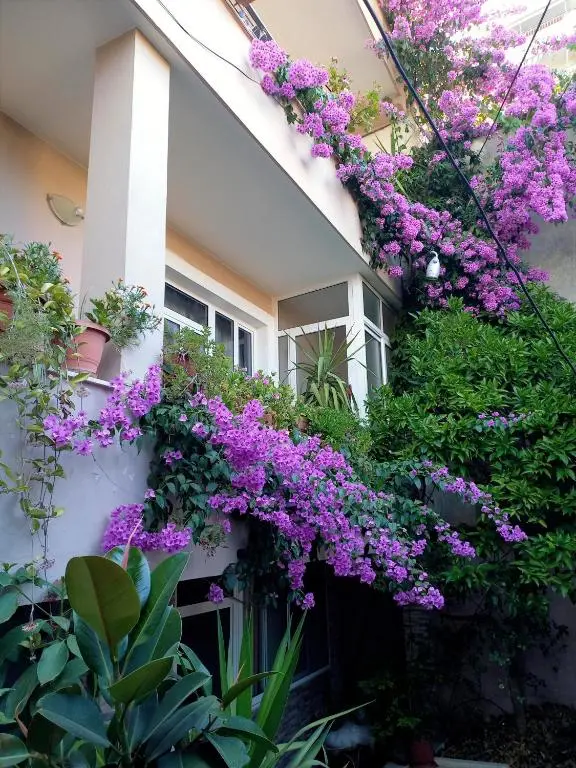 img_id_1718996.webp