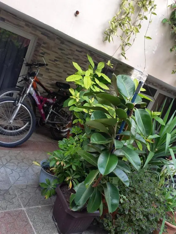img_id_1719000.webp