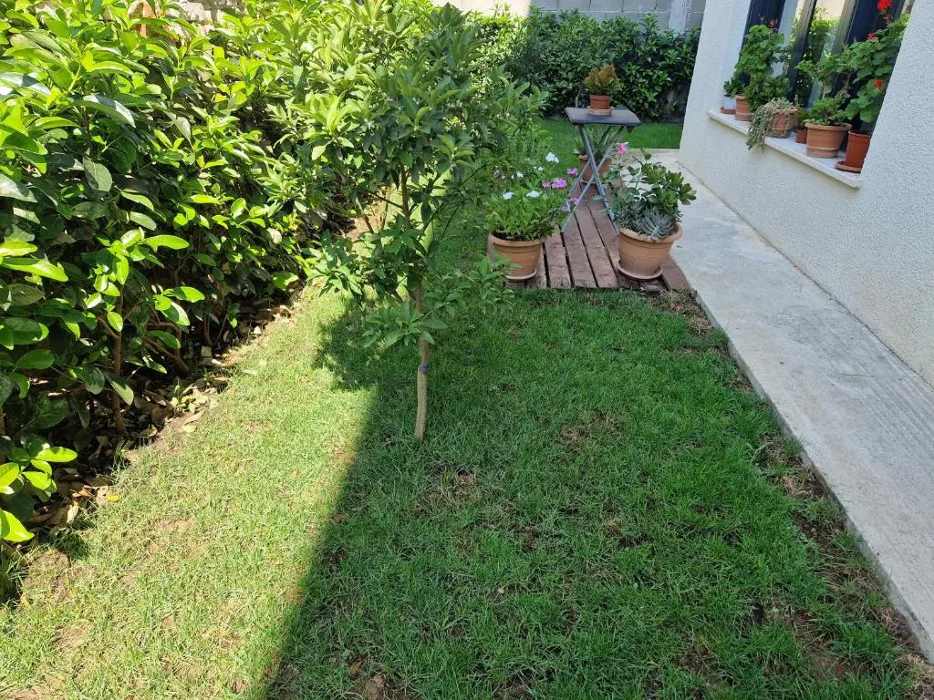 img_id_1686639.webp