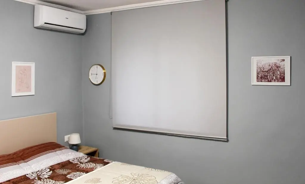 img_id_1036998.webp