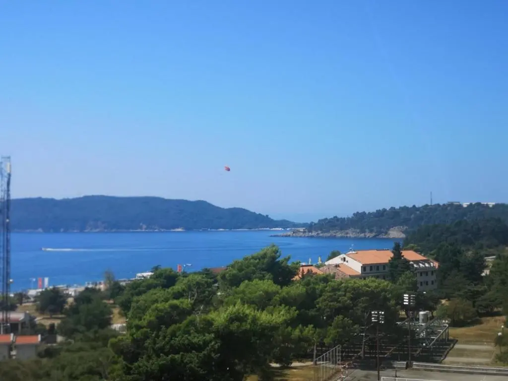 img_id_2335402.webp