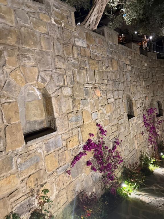 img_id_965169.jpg