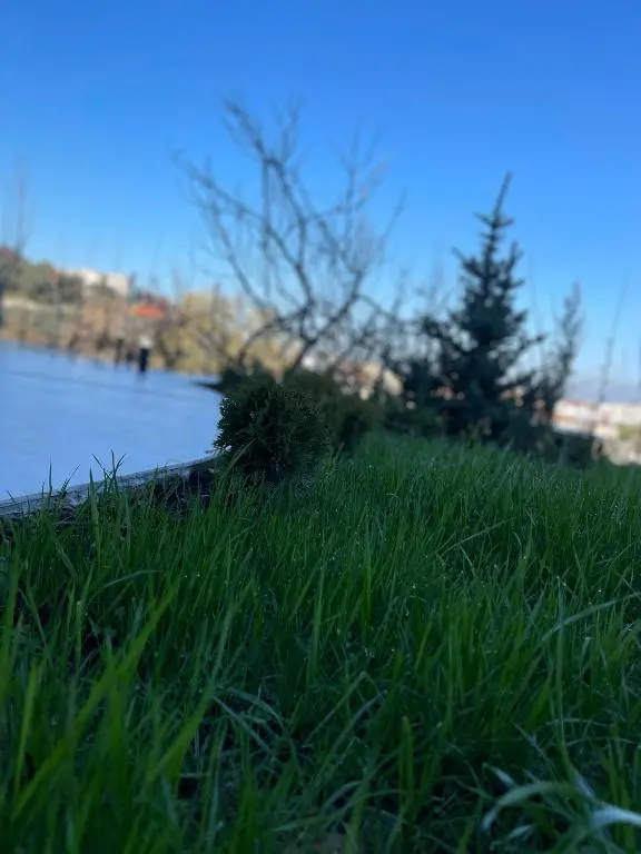 img_id_1035194.webp