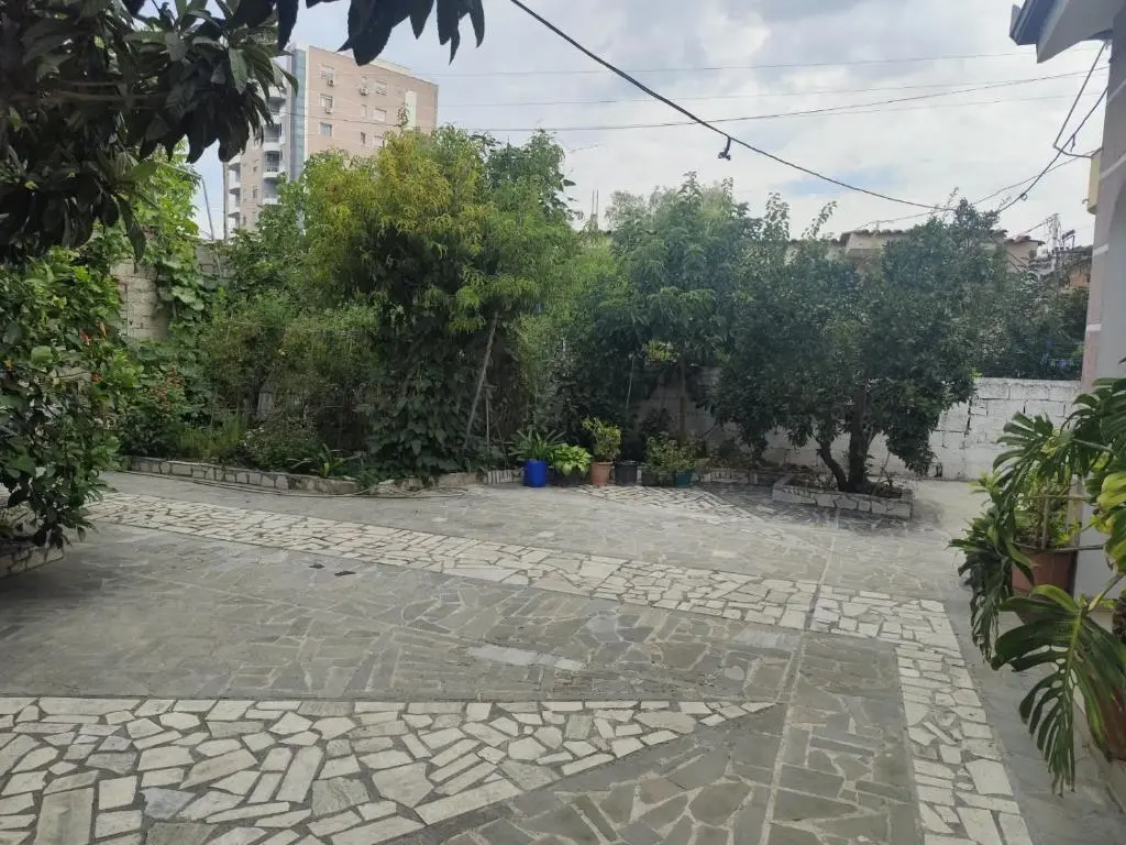 img_id_1702933.webp