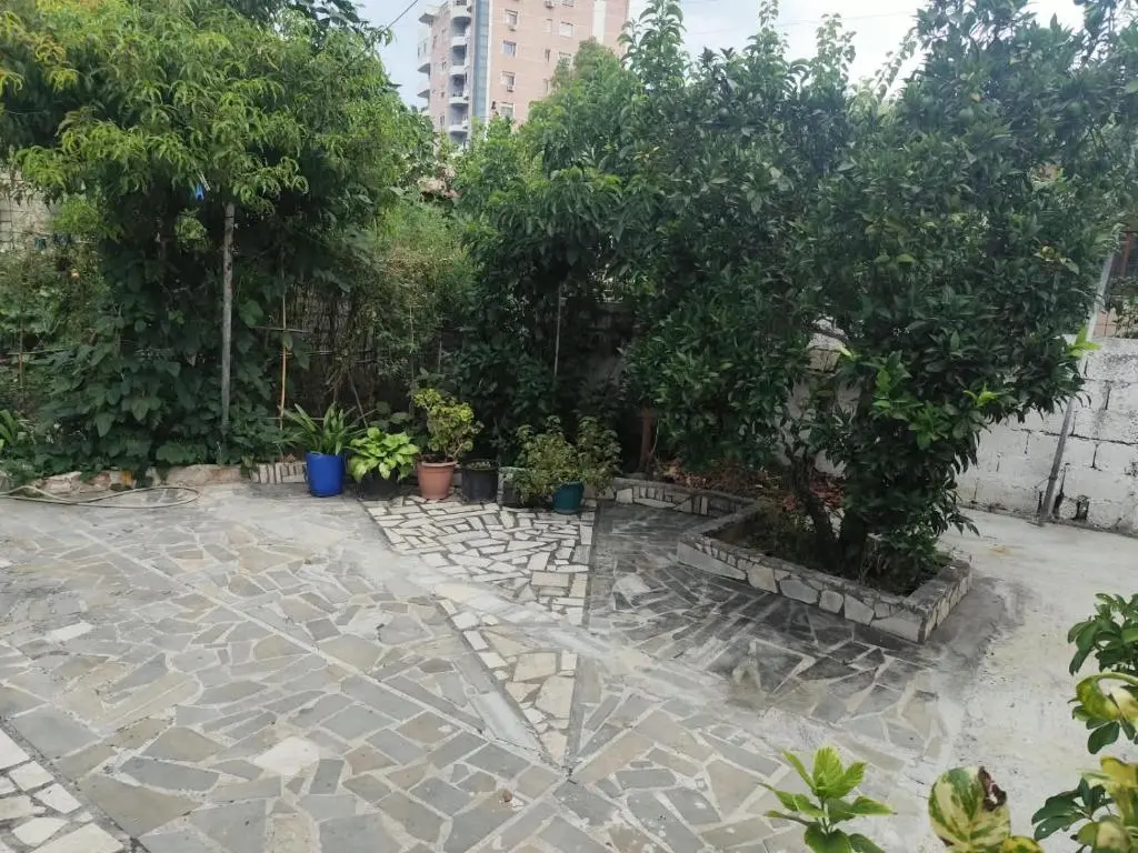 img_id_1702940.webp
