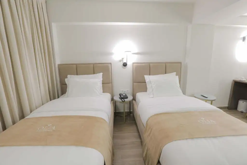 Deluxe Twin Room image 15