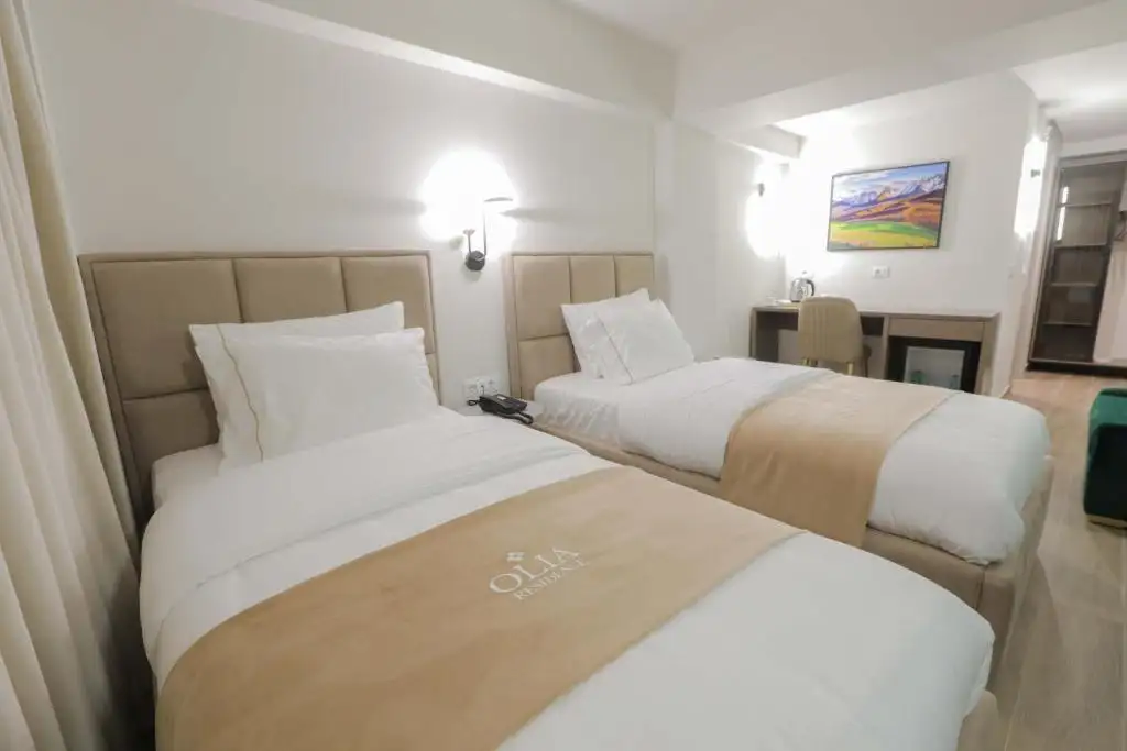 Deluxe Twin Room image 16