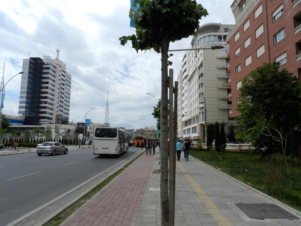 img_id_1204519.jpg