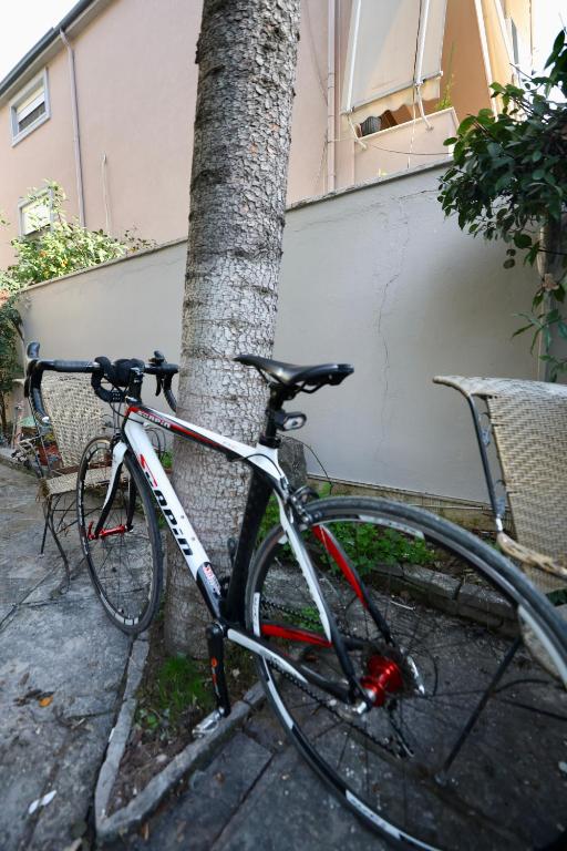 img_id_1032604.jpg