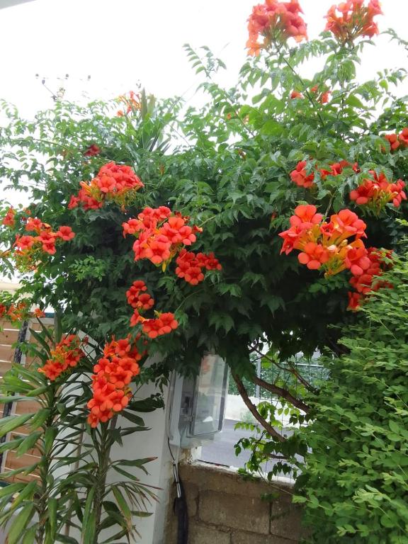 img_id_943012.jpg