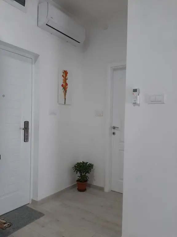 img_id_2332540.webp