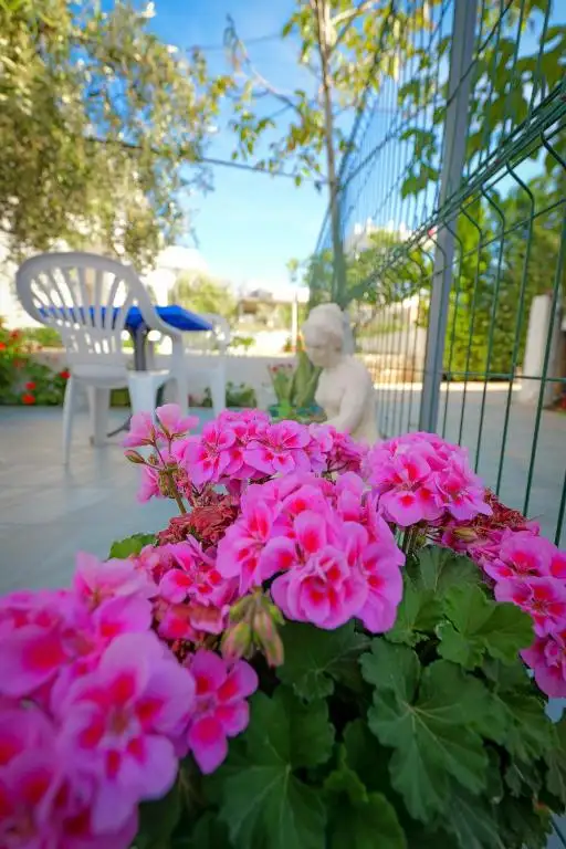 img_id_500949.webp