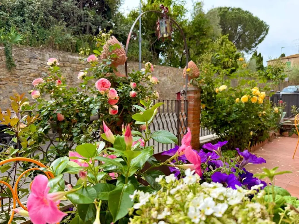 img_id_1398178.webp