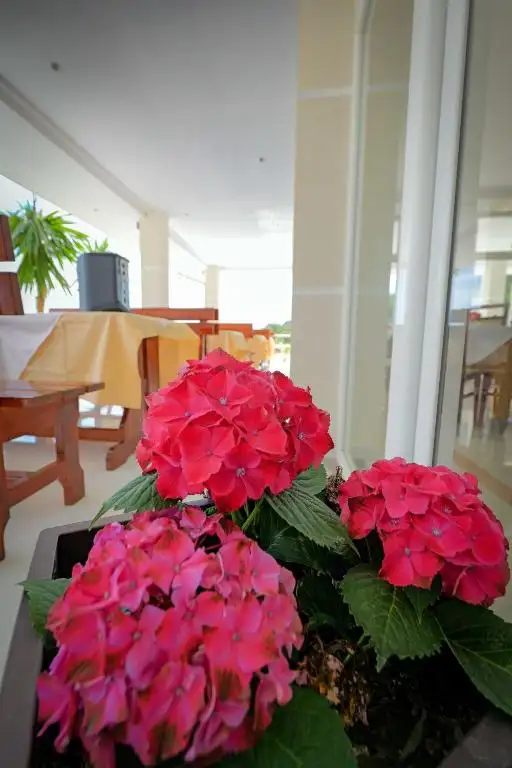 img_id_494038.webp