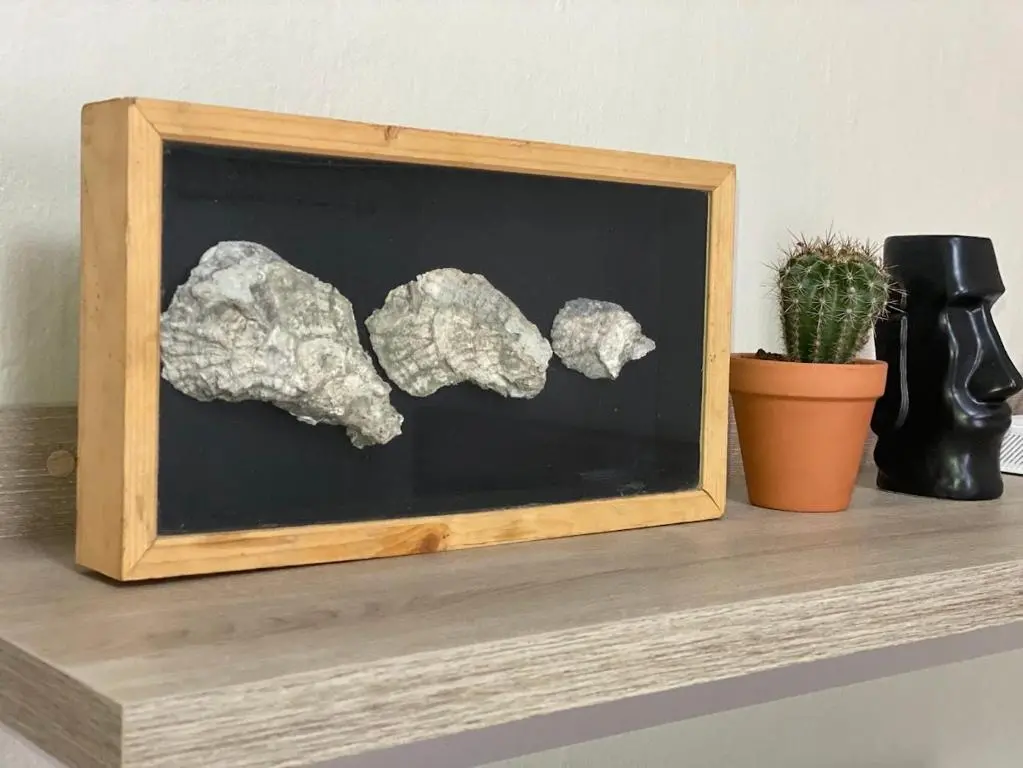 img_id_1025610.webp