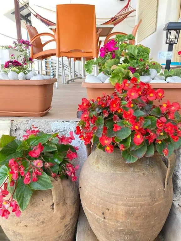img_id_1025643.webp