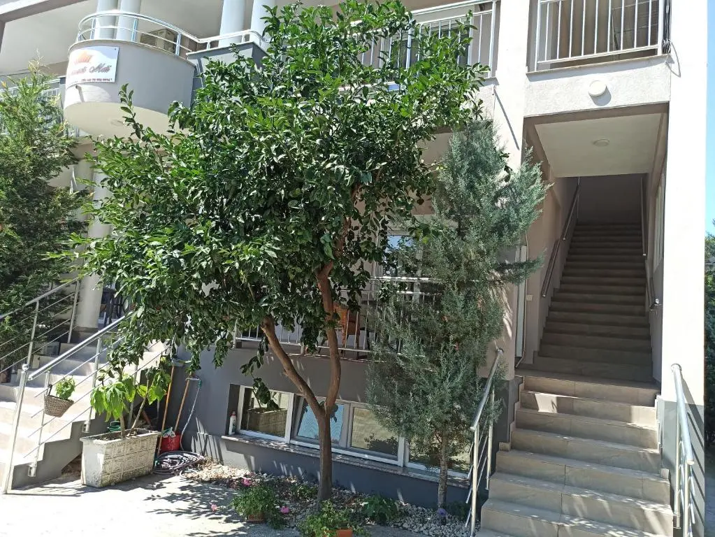 img_id_2329576.webp