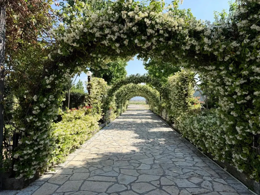 img_id_949817.webp