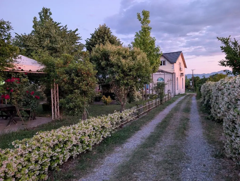 img_id_949834.webp