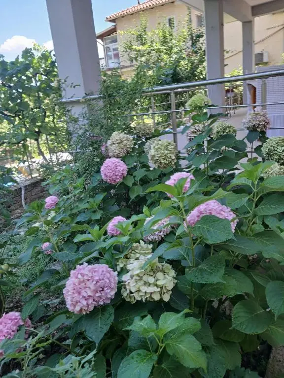 img_id_1946790.webp