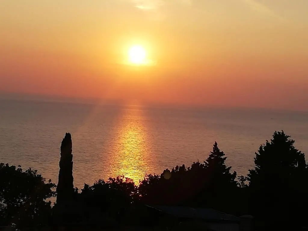 img_id_2329115.webp