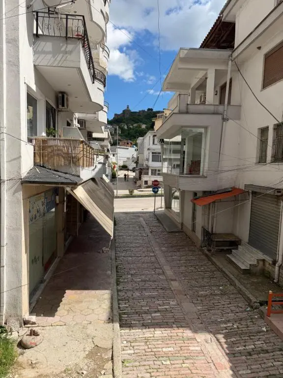 img_id_1687576.webp