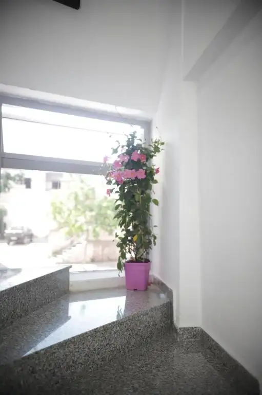 img_id_689453.webp