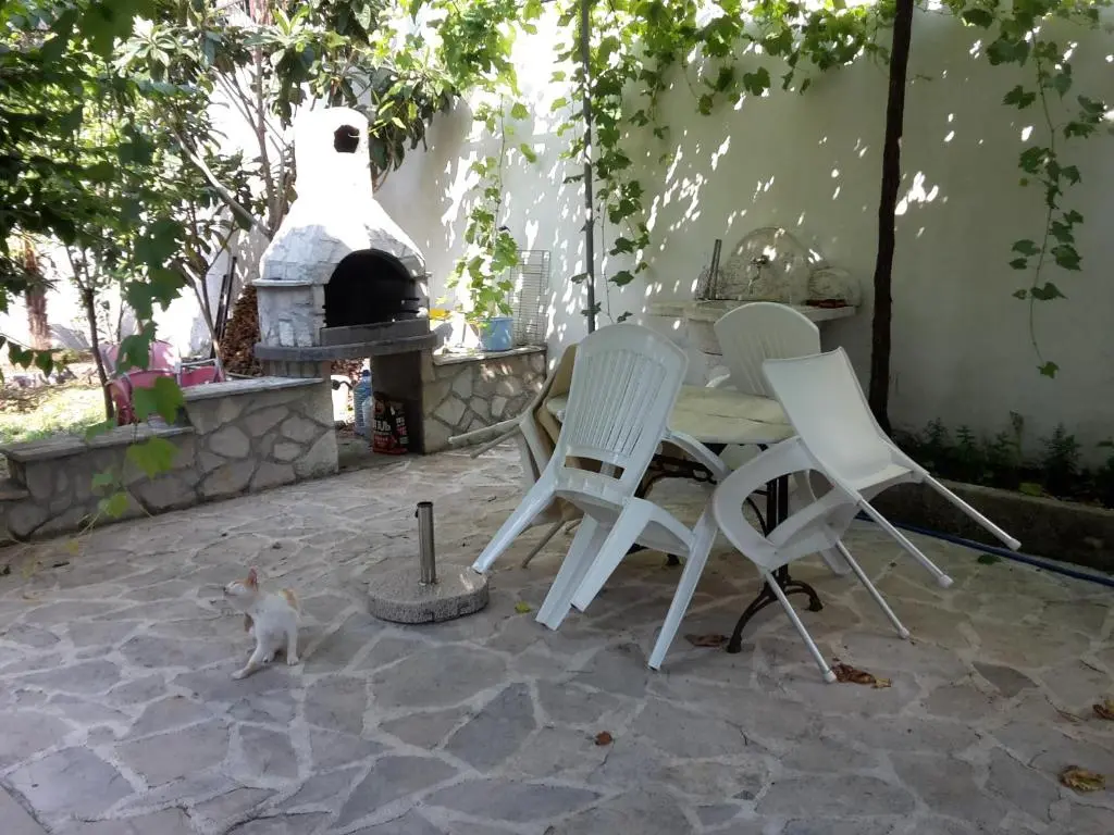 img_id_2328172.webp