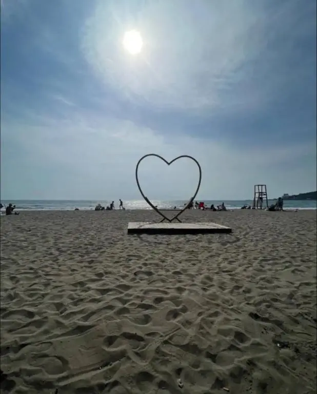 img_id_896978.webp