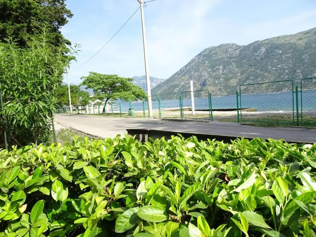 img_id_2326609.webp