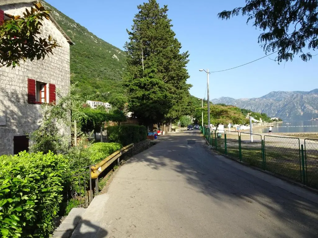 img_id_2326614.webp