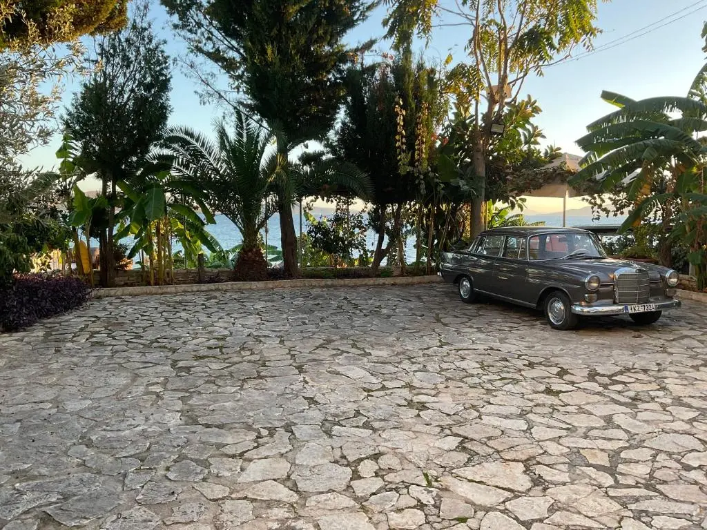 img_id_977738.webp