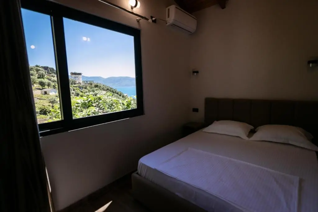 img_id_894356.webp