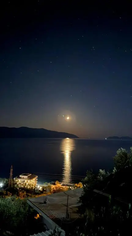img_id_894393.webp