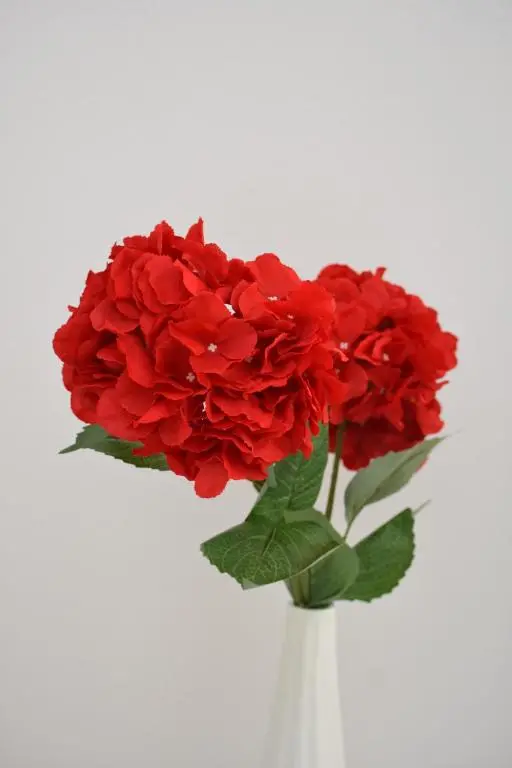 img_id_2326123.webp