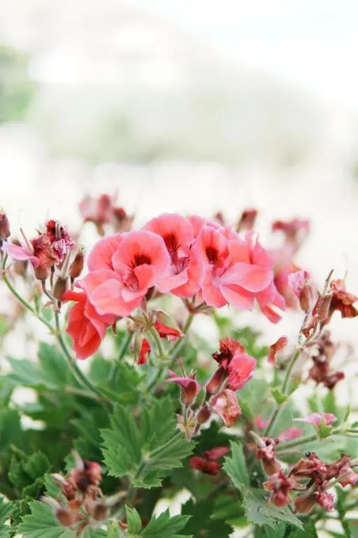 img_id_1010561.webp