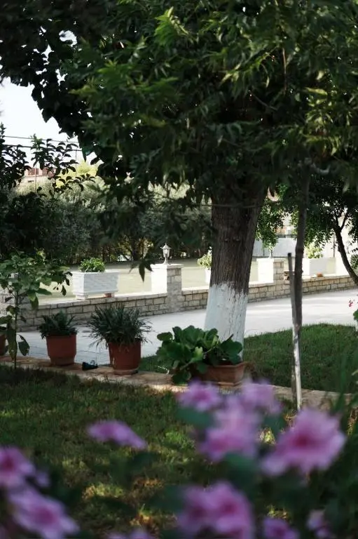 img_id_1010569.webp