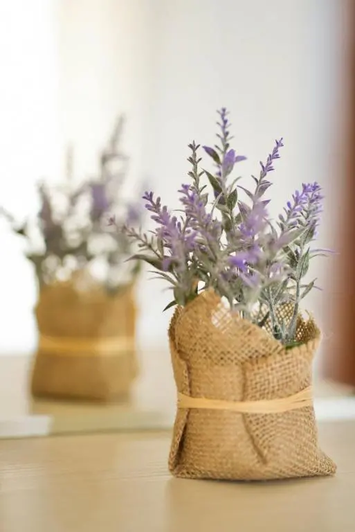 img_id_1009870.webp