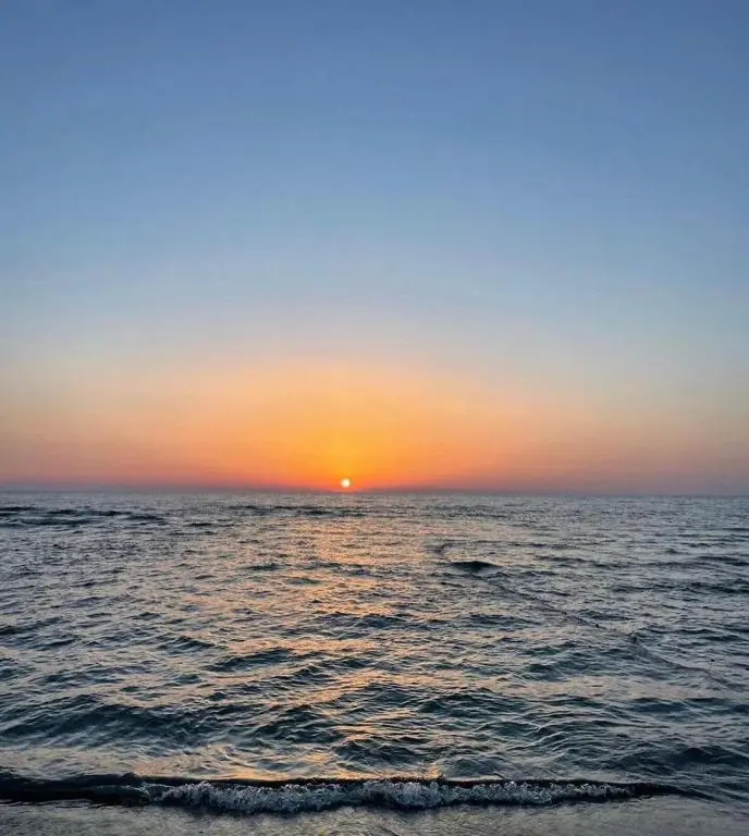 img_id_1424048.webp