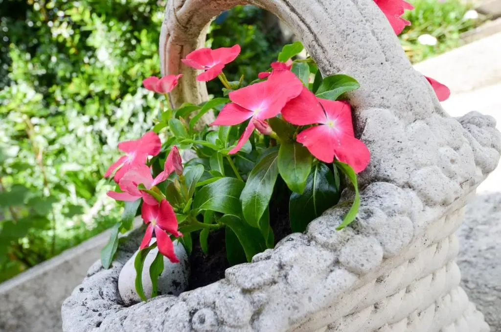 img_id_2324607.webp