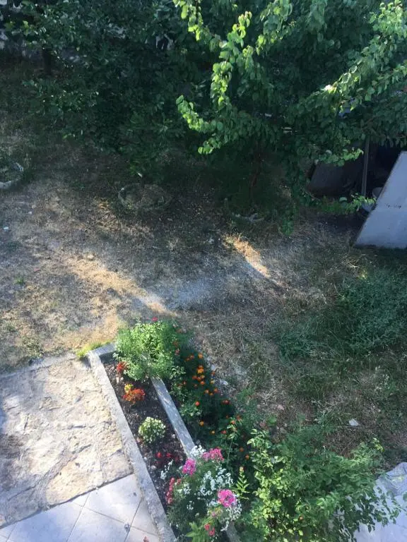 img_id_2324053.webp