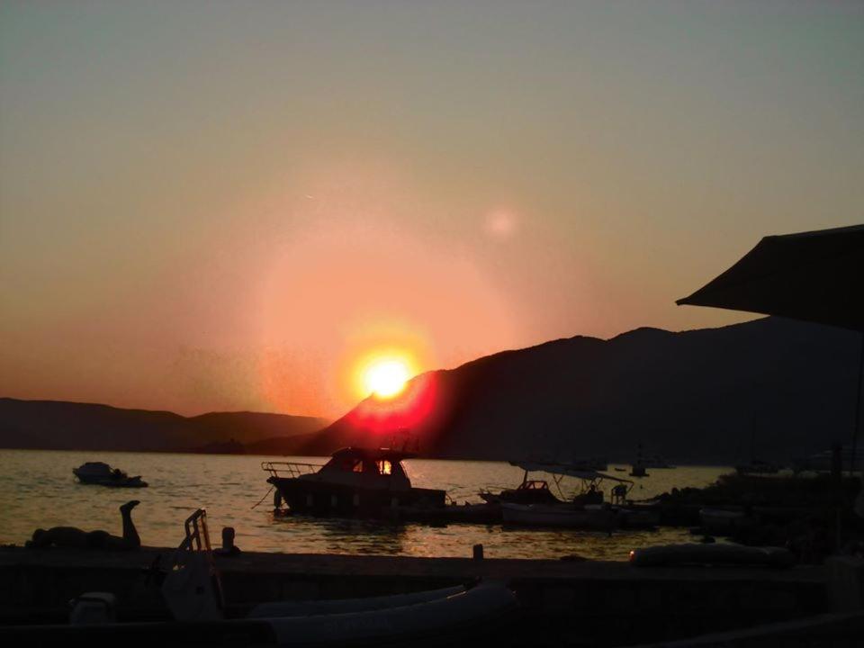 img_id_2323863.jpg