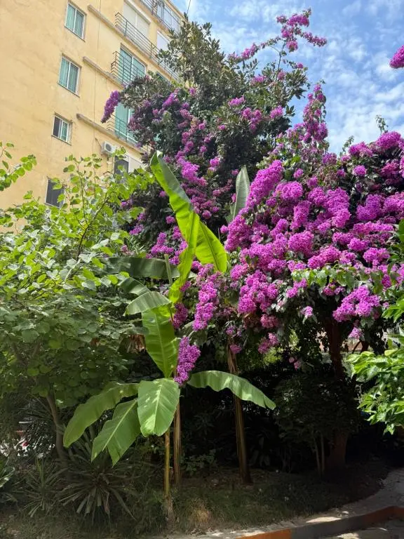 img_id_999988.webp