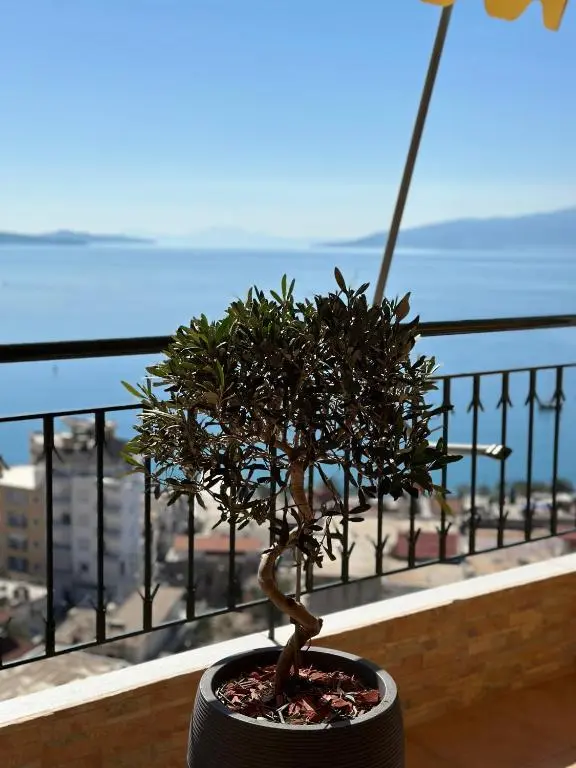 img_id_1427301.webp