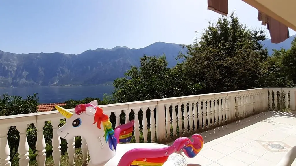 img_id_2323170.webp