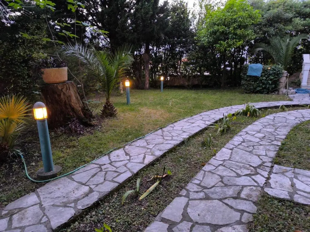 img_id_2322753.webp